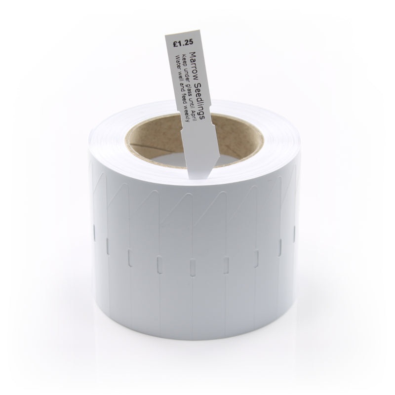 100mm x 19mm Stick-In Plant Tags – 300 Micron