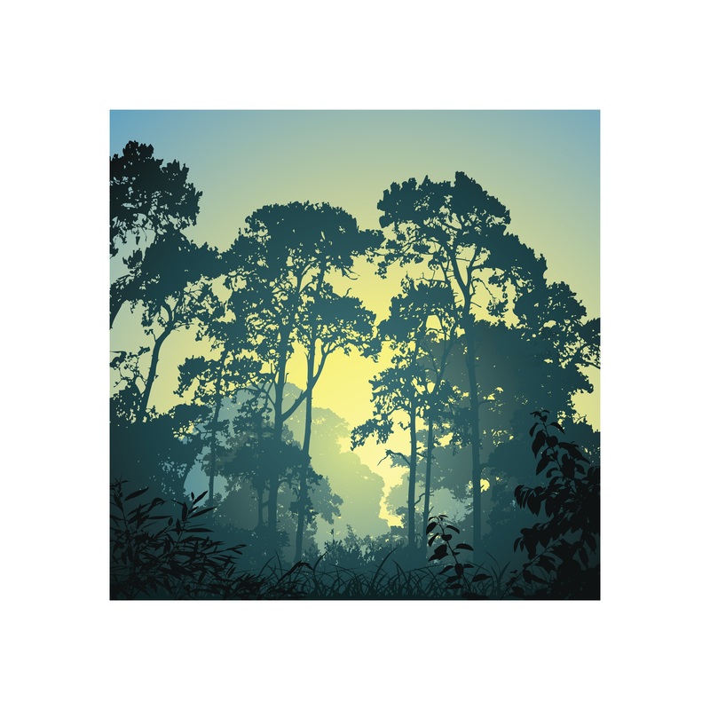 Jungle:  Sunset Mural        –   Removable Wall   Adhesive Decal