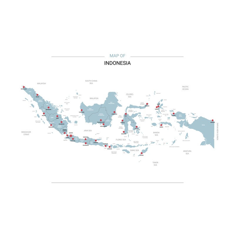 Maps of Asia: Indonesia Mural        –   Removable Wall   Adhesive Decal