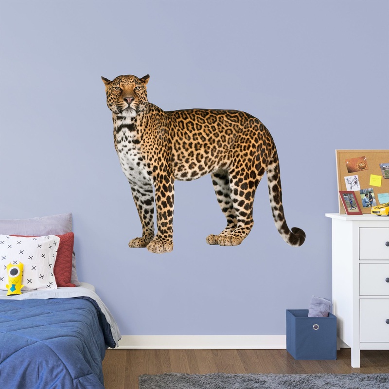Jaguar – Removable Vinyl Decal