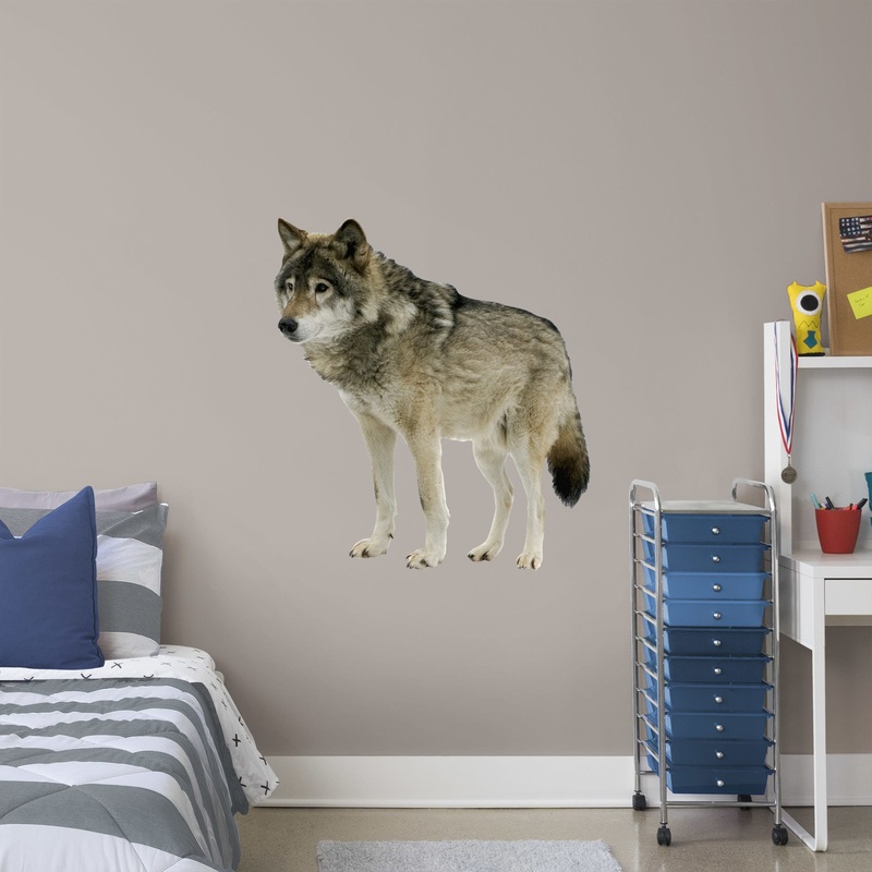 Wolf – Removable Vinyl Decal|LARGE (Life-Size) + 8 Decals (40W x 38H)|MEDIUM (36W x 24H)|SMALL (12W x 12H)