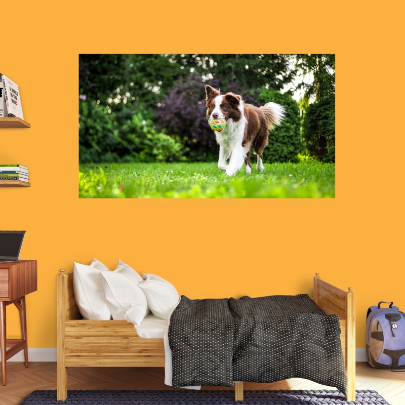 Custom – Pet – Peel & Stick Poster – Reusable Vinyl Wall Decal