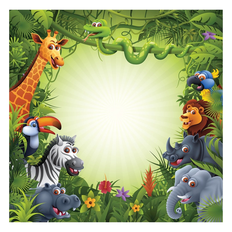 Jungle:  Happiness Dry Erase        –   Removable Wall   Adhesive Decal