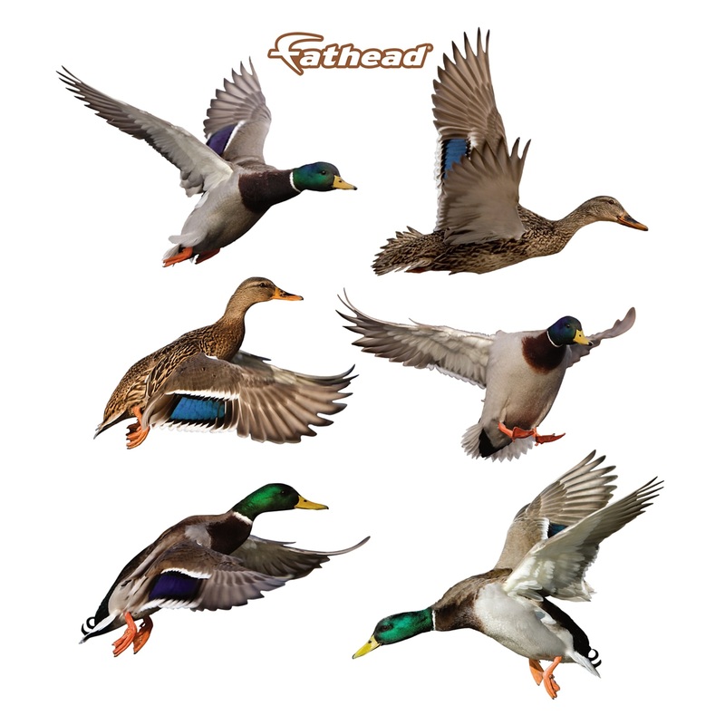 Animals: Ducks         –   Removable     Adhesive Decal