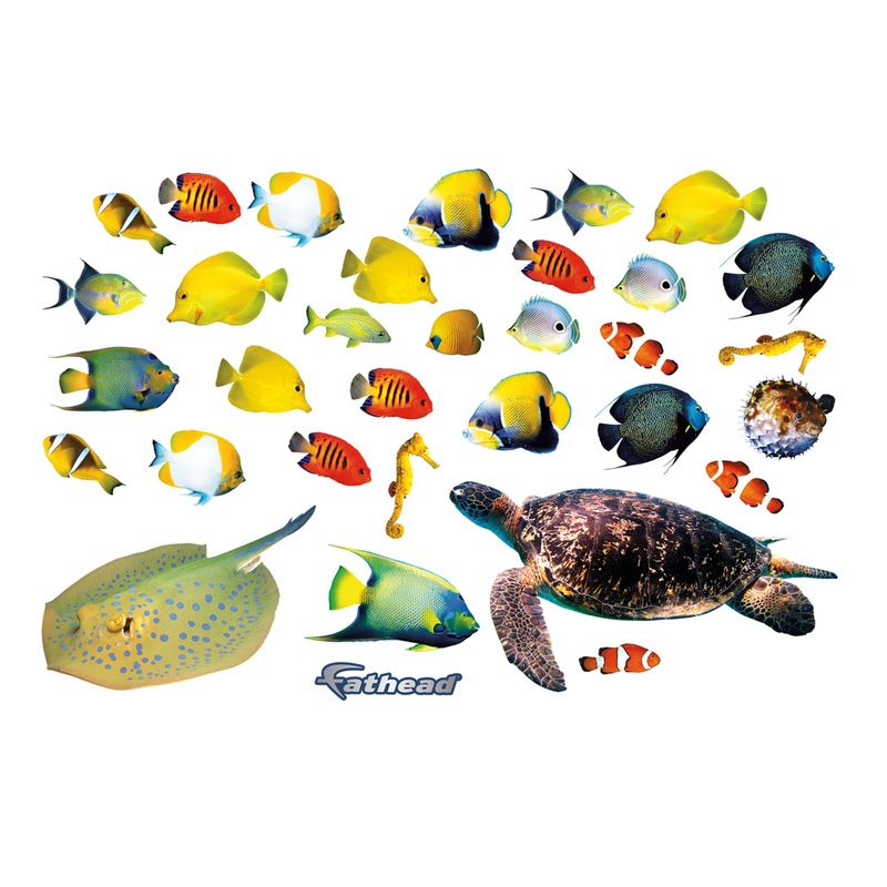 Animals: Tropical Fish         –   Removable     Adhesive Decal