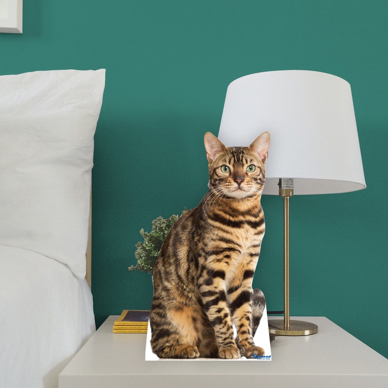 Animals: Bengal Cat Mini Cardstock Cutout – Stand Out