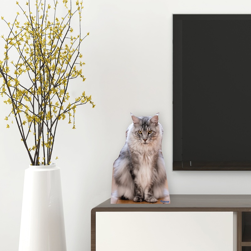 Animals: Maine Coon Cat Mini Cardstock Cutout – Stand Out