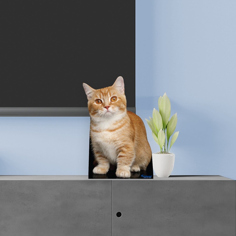 Animals: Munchkin Cat Mini Cardstock Cutout – Stand Out