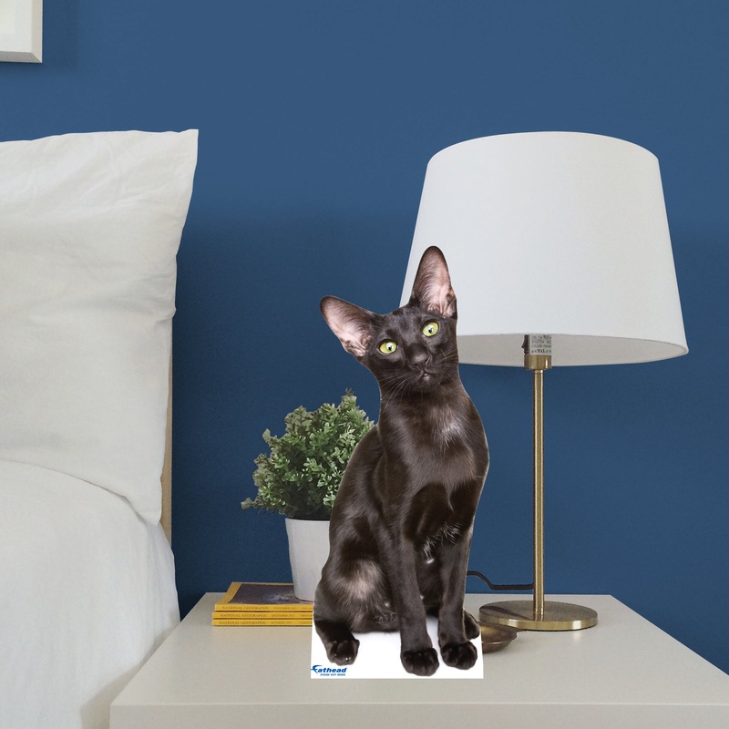 Animals: Oriental Shorthair Cat Mini Cardstock Cutout – Stand Out