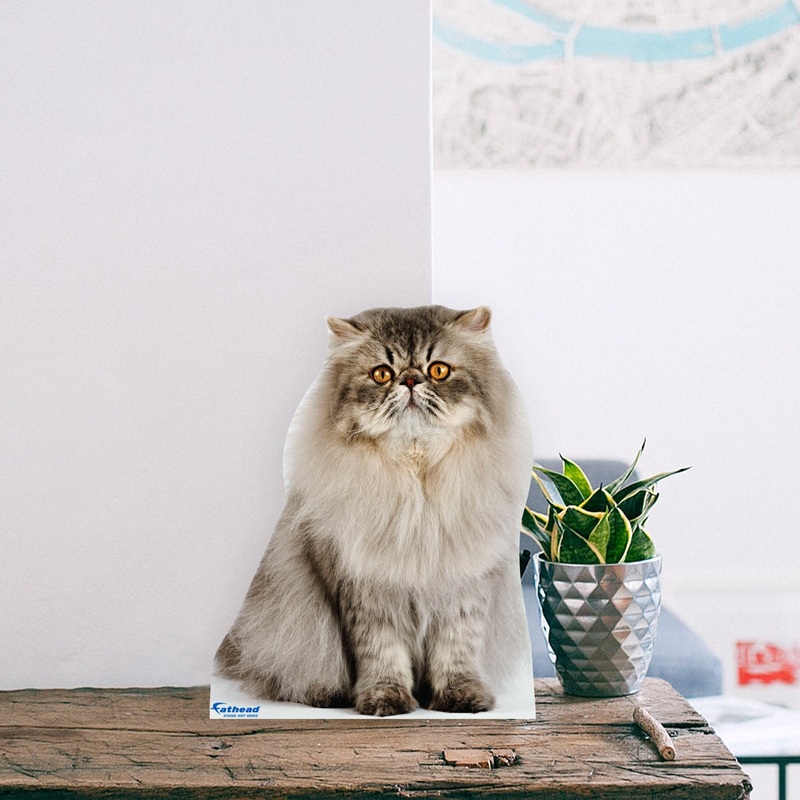 Animals: Persian Cat Mini Cardstock Cutout – Stand Out