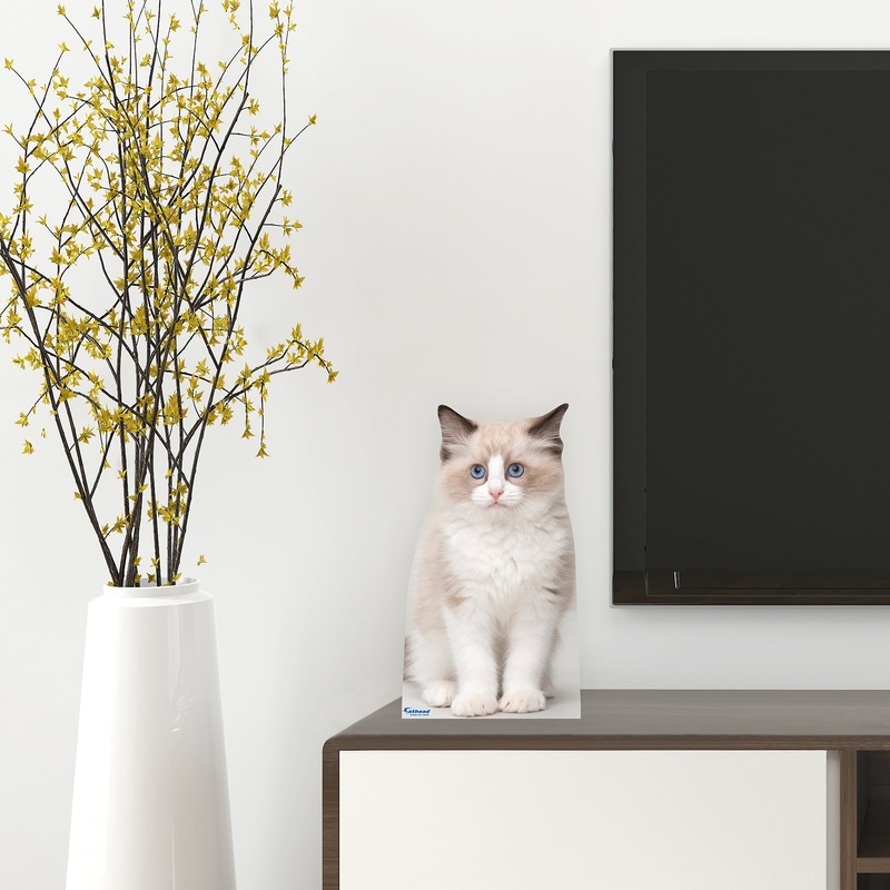 Animals: Ragdoll Cat Mini Cardstock Cutout – Stand Out