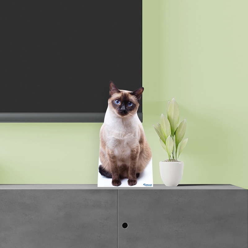 Animals: Siamese Cat Mini Cardstock Cutout – Stand Out