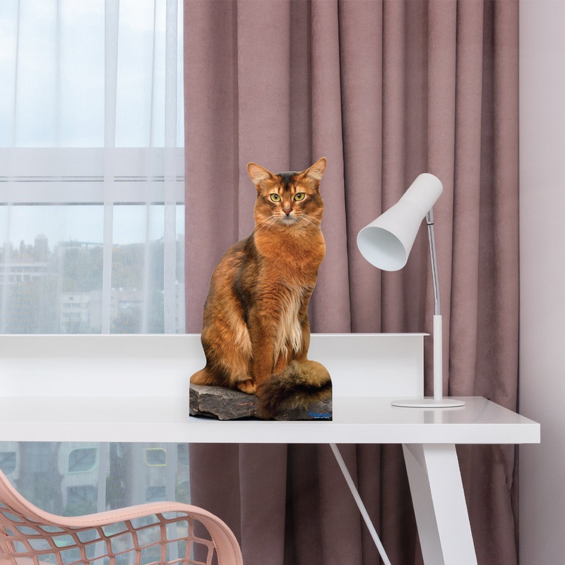 Animals: Somali Cat Mini Cardstock Cutout – Stand Out