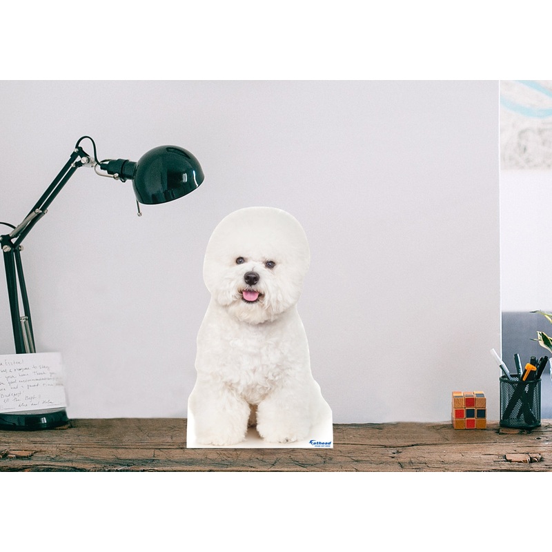 Animals: Bichon Mini Cardstock Cutout – Stand Out