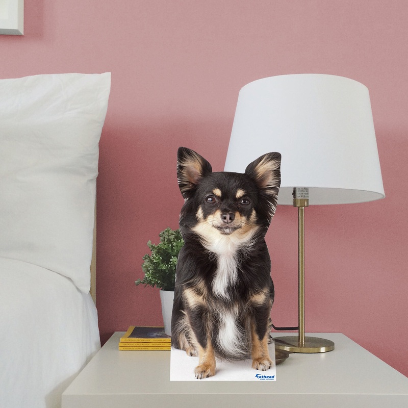 Animals: Chihuahua Mini Cardstock Cutout – Stand Out