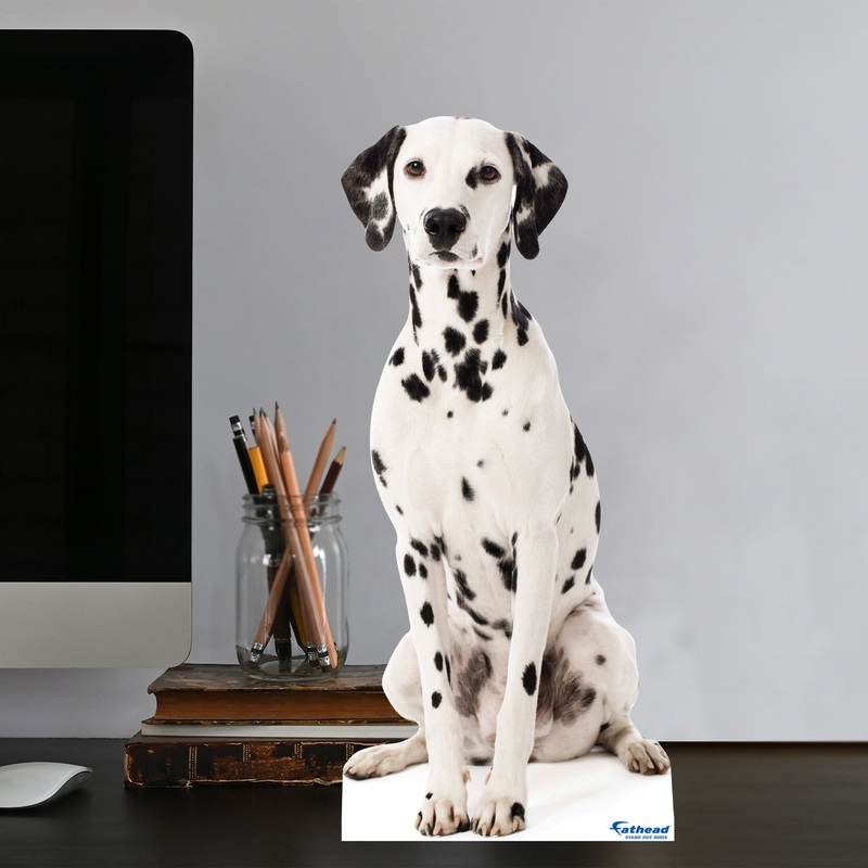 Animals: Dalmatian Mini Cardstock Cutout – Stand Out