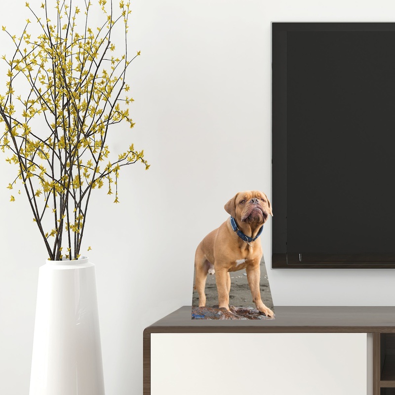 Animals: French Mastiff Mini Cardstock Cutout – Stand Out