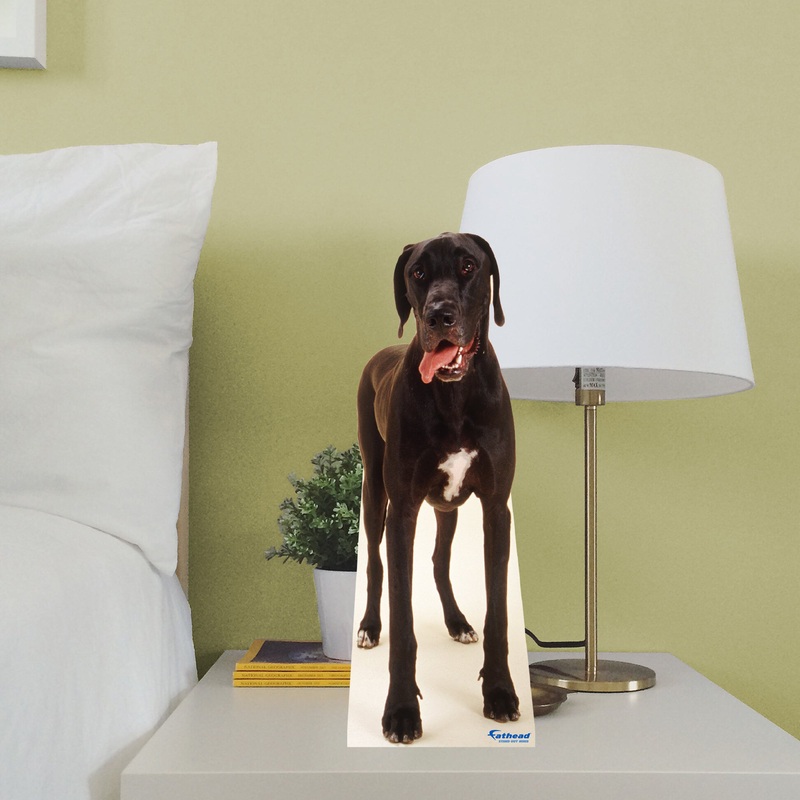 Animals: Great Dane Mini Cardstock Cutout – Stand Out