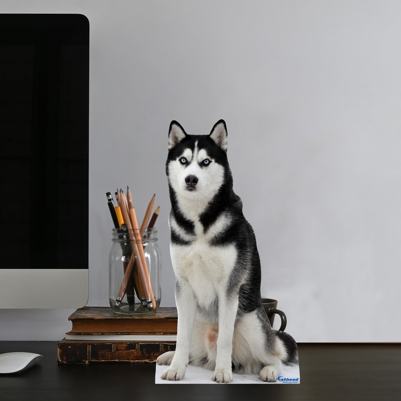 Animals: Husky Mini Cardstock Cutout – Stand Out