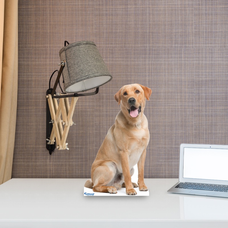 Animals: Labrador Mini Cardstock Cutout – Stand Out