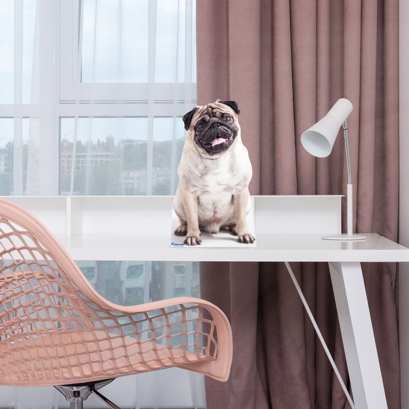 Animals: Pug Mini Cardstock Cutout – Stand Out