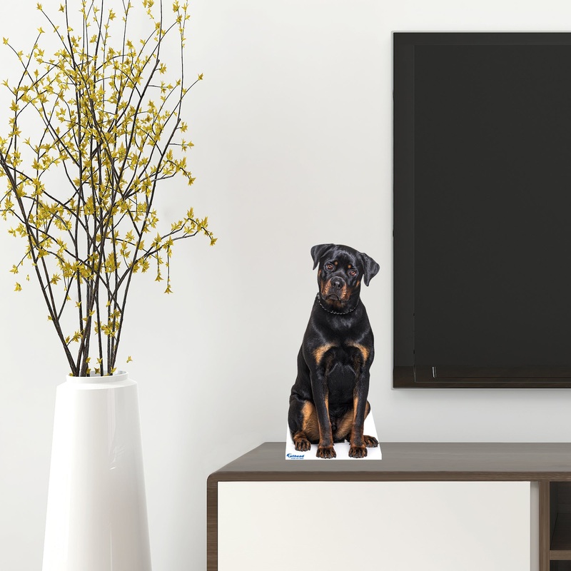 Animals: Rottweiler Mini Cardstock Cutout – Stand Out