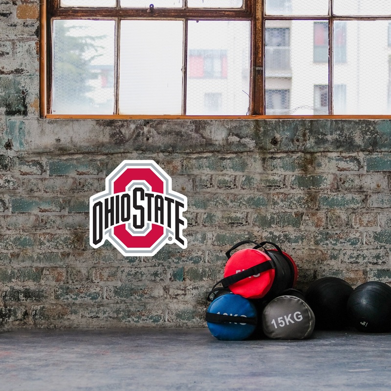 Ohio State Buckeyes – Logo – Outdoor Wall Decals – Official NCAA – Scratch Resistant Alumigraphics Smooth