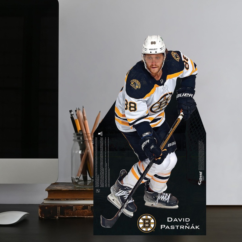 David Pastrk – Mini Stand Out – Official NHL – Boston Bruins – Cardstock Cutout