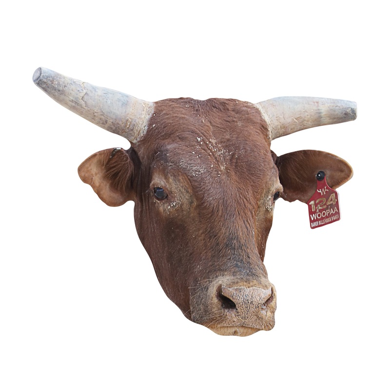 PBR:  Woopaa   Foam Core Cutout  – Officially Licensed Pro Bull Riding    Big Head