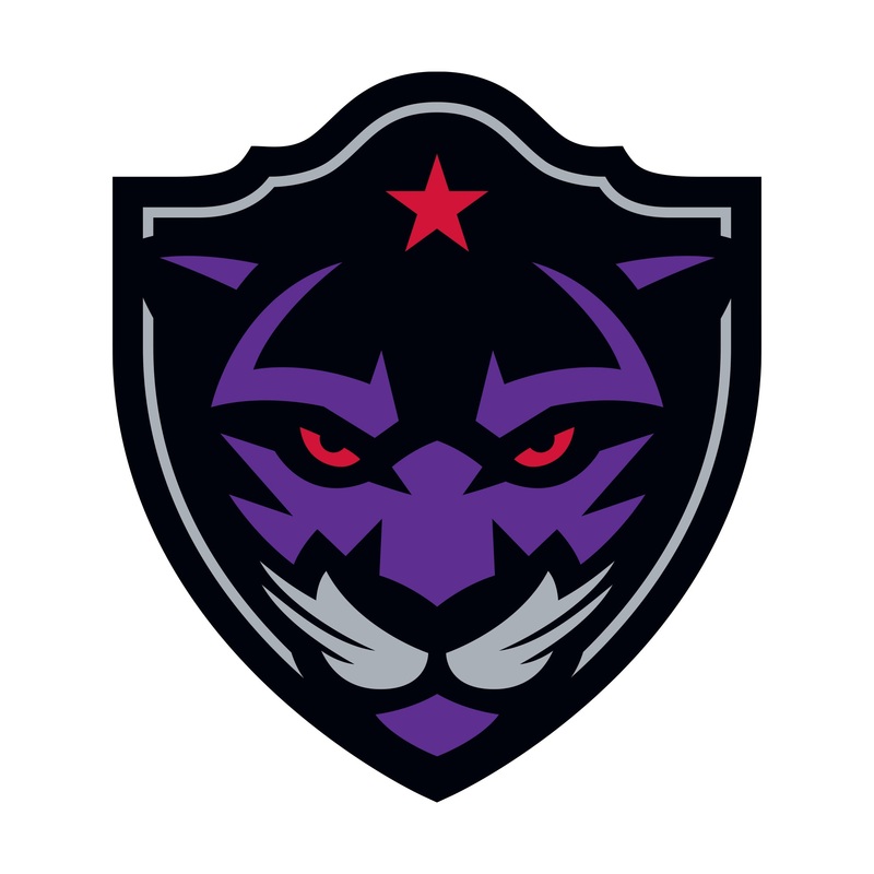 Panther City Lacrosse Club:   Logo        – Officially Licensed NLL Removable     Adhesive Decal
