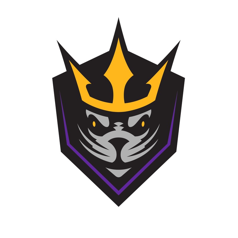 San Diego Seals:   Logo        – Officially Licensed NLL Removable     Adhesive Decal