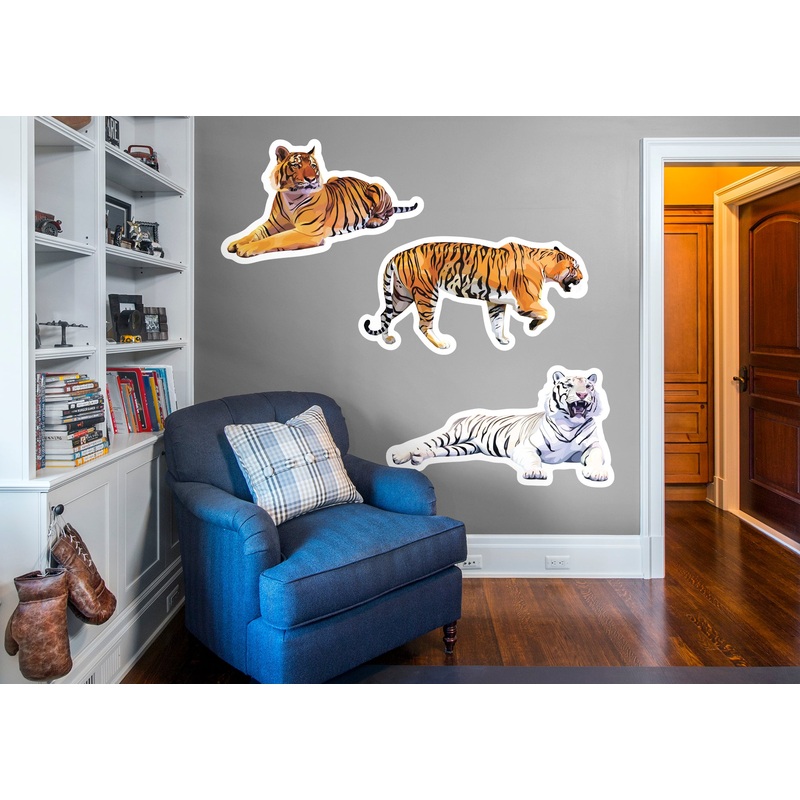 Jungle:  Tiger Collection        –   Removable Wall   Adhesive Decal