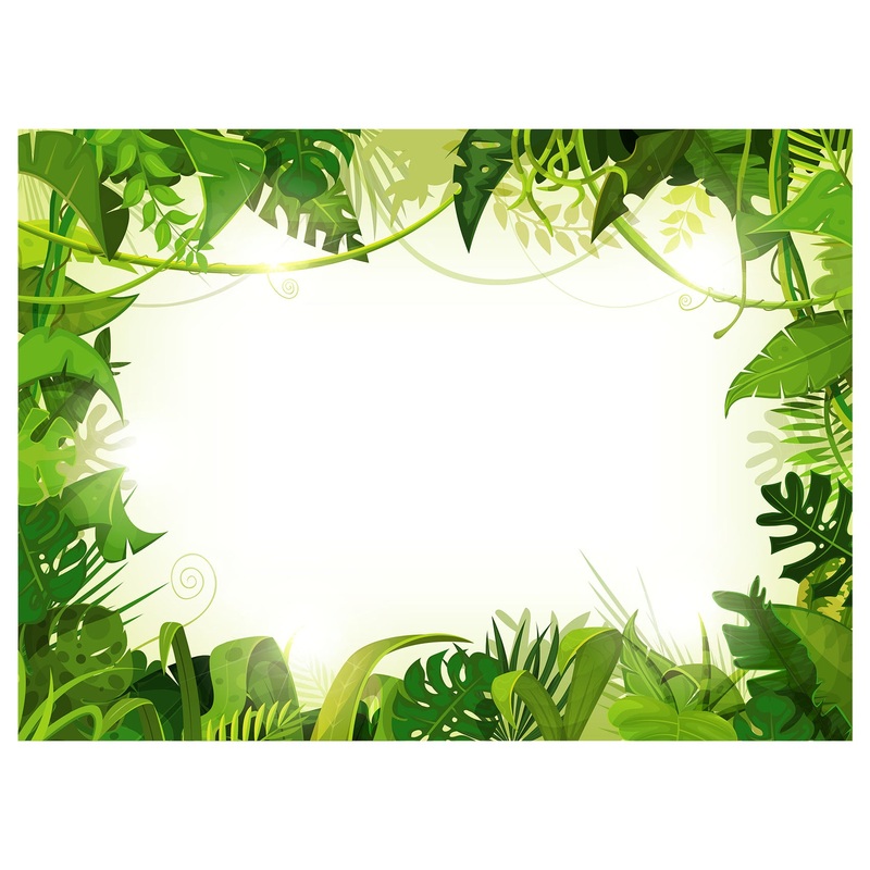 Jungle:  Leaves Dry Erase        –   Removable Wall   Adhesive Decal