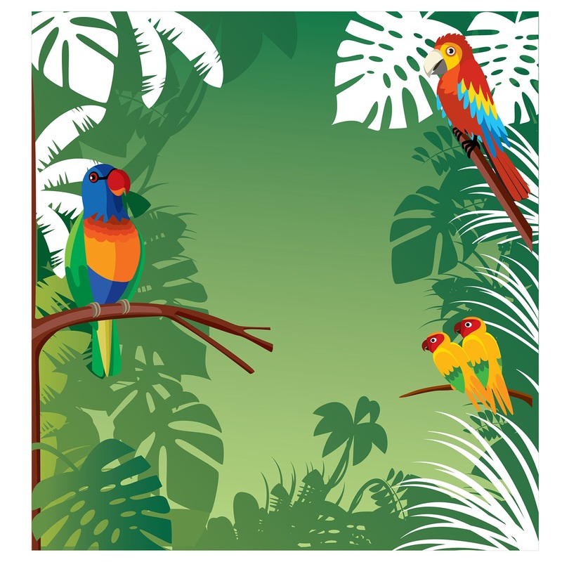 Jungle:  Parrot Dry Erase        –   Removable Wall   Adhesive Decal
