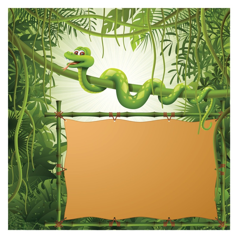 Jungle:  Snake Dry Erase        –   Removable Wall   Adhesive Decal