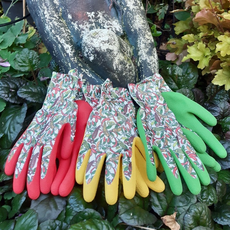 Town & Country Ladies Chilli Gloves – Triple Pack