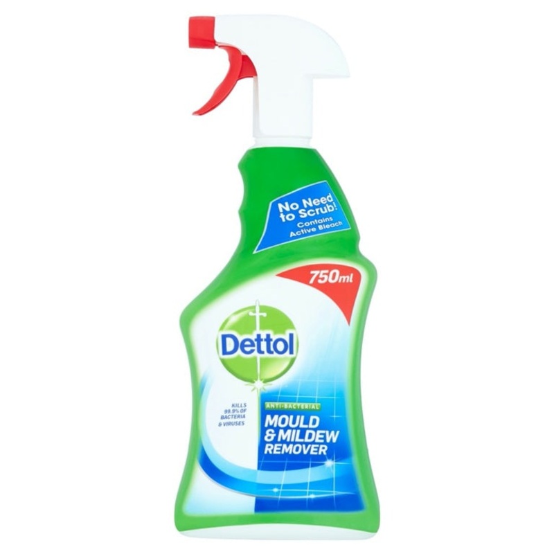 Dettol Mould & Mildew Remover|750ml