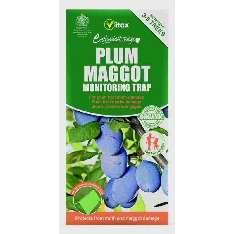 Vitax Plum Maggot Trap|Vitax Plum Maggot Trap|35g Refill Pack
