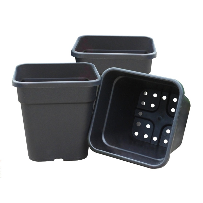 Garland Square Tomato Pots Black (21cm)