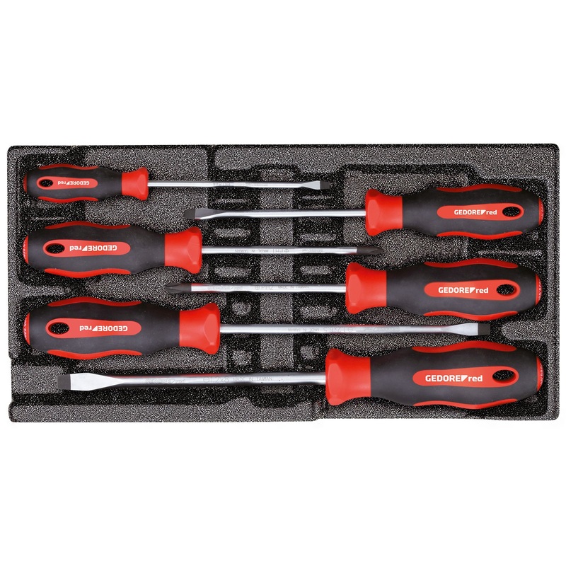 Compare gedore screwdriver set ph+sl 2/6 ct-module 6pcs – mpn: r22150013 – zoro products from over 25,000 stores