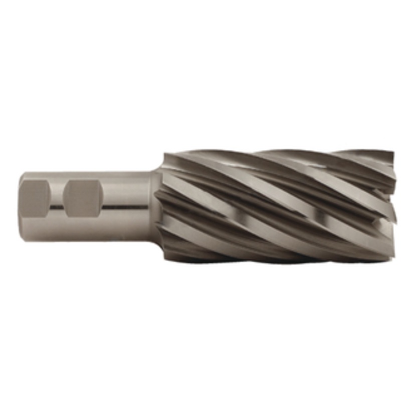 Precise 8 Flute D3 H.S.S. Long Length Non-Center Cut Finishing End Mill, 2 Size, 1-1/4 Shank Diameter, 4 Length of Cut, 6-1/2 OAL